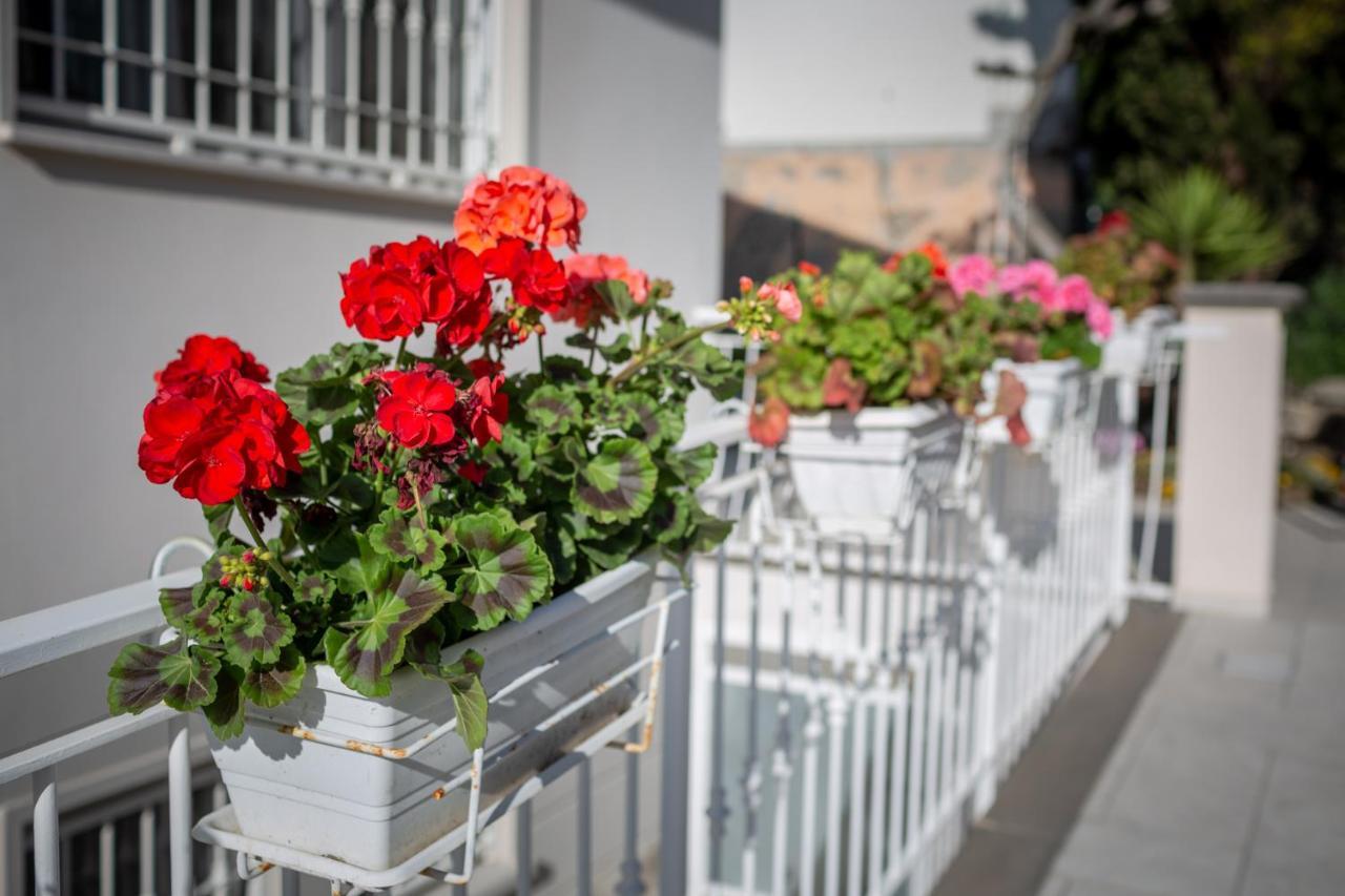 Hotel Saint Joseph Livorno Exterior foto